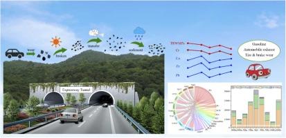 Combined contamination of tire and road wear microplastics with heavy metals in expressway tunnels: occurrence characteristics and risk assessment