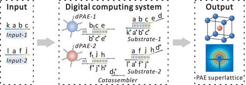 Implementation of Digital Computing by Colloidal Crystal Engineering with DNA