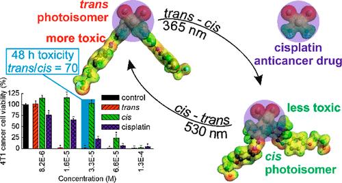 Light-Controlled Anticancer Activity and Cellular Uptake of a Photoswitchable Cisplatin Analogue