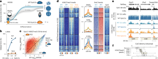 DNA methylation shapes the Polycomb landscape during the exit from naive pluripotency