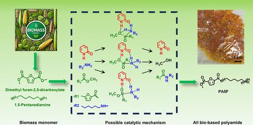 Synthesis of High-Molecular-Weight All-Biobased Semiaromatic Furan Polyamide and Study on Its Polymerization Process