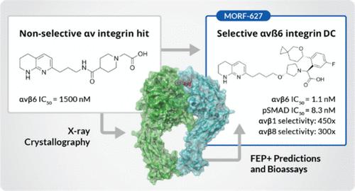 The Discovery of MORF-627, a Highly Selective Conformationally-Biased Zwitterionic Integrin αvβ6 Inhibitor for Fibrosis