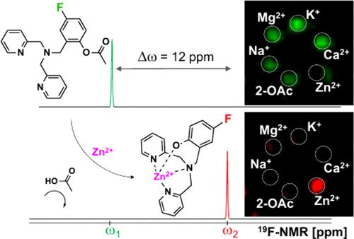 A Reactive and Specific Sensor for Activity-Based 19F-MRI Sensing of Zn2+