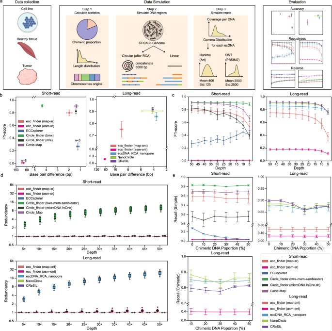 Comparative analysis of methodologies for detecting extrachromosomal circular DNA