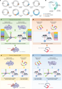 A structurally informed human protein–protein interactome reveals proteome-wide perturbations caused by disease mutations