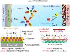 In-situ construction of an alloy hybrid interface and ultrathin ZnS nanosheets catalyst for polysulfide by trifunctional ZnI2 electrolyte additive for Li-S batteries