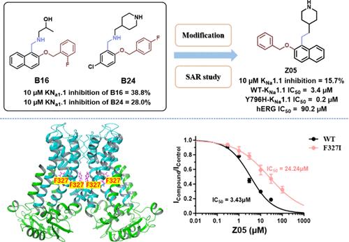 Discovery of Potent and Selective Blockers Targeting the Epilepsy-Associated KNa1.1 Channel