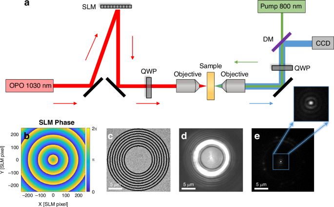 Dynamic control and manipulation of near-fields using direct feedback