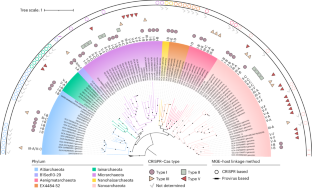 Metagenomic characterization of viruses and mobile genetic elements associated with the DPANN archaeal superphylum