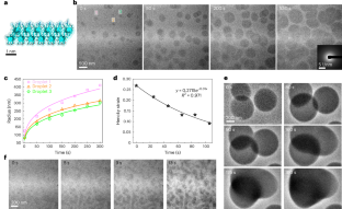 Formation, chemical evolution and solidification of the dense liquid phase of calcium (bi)carbonate