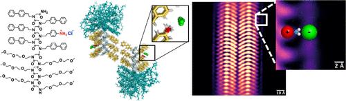 Atomic-Scale Imaging of Condensed Counterions