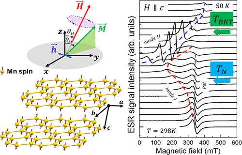 Low-Temperature Electron Spin Resonance Study of MnPS3 Antiferromagnetic Single Crystal