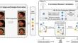 Sample Correlation for Fingerprinting Deep Face Recognition