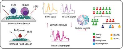 Profiling Breast Tumor Heterogeneity and Identifying Breast Cancer Subtypes Through Tumor-Associated Immune Cell Signatures and Immuno Nano Sensors