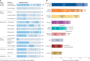 The present and future of the Cancer Dependency Map