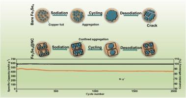 Optimized architectural engineering and interface modulation in metallic-phase selenide for exceptional sodium-storage performance