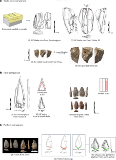 An Initial Upper Palaeolithic attribution is not empirically supported at Shiyu, northern China