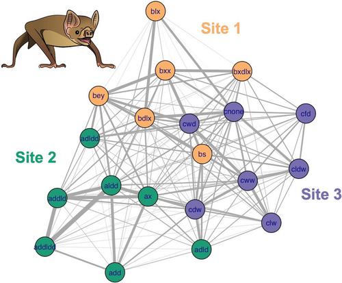 Long-term cooperative relationships among vampire bats are not strongly predicted by their initial interactions