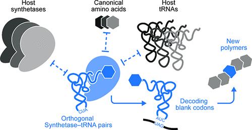 Genetic Code Expansion History and Modern Innovations.