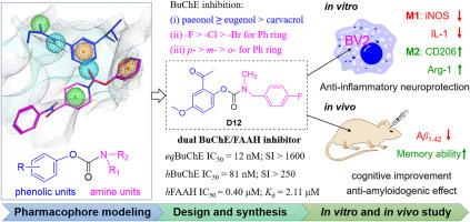 Natural phenol carbamates: Selective BuChE/FAAH dual inhibitors show neuroprotection in an Alzheimer’s disease mouse model