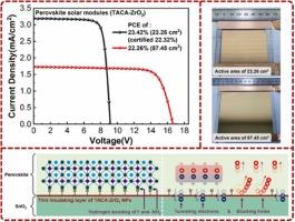 Buried interface regulation for efficient and stable perovskite minimodules