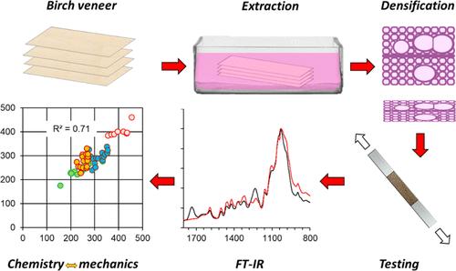 Mechanical Performance Related to Chemical Variability in Differently Pretreated and Densified Birch Wood