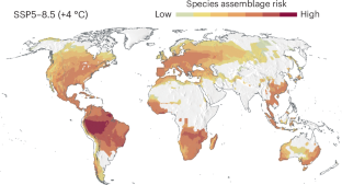 Increased environmental drying risk for anurans globally under projected climate change