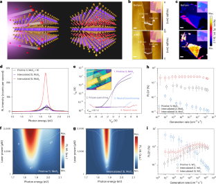 Light-emitting diodes based on intercalated transition metal dichalcogenides with suppressed efficiency roll-off at high generation rates