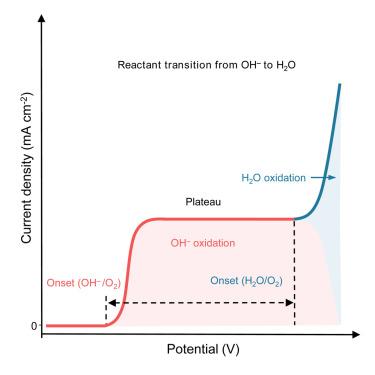 Discrimination between OH− and H2O oxidation for oxygen evolution reaction