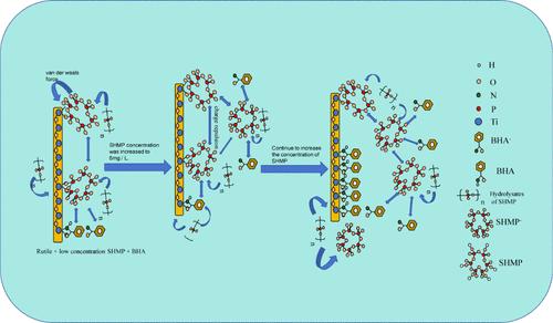 Influence of SHMP Concentration on Rutile Flotation in BHA System: Guiding the Separation of Rutile and Hornblende.