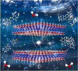 Multimodal energy harvesting utilizing BiOI nanoflowers with superior adsorption capabilities for efficient piezo-photocatalytic wastewater treatment