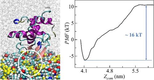 Atomistic Simulations of Hydration and Antibiofouling Behavior of Amphiphilic Polymer Brush Surfaces Functionalized with TMAO and Short Fluorocarbon