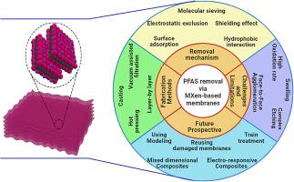 Fabrication of MXene-based membranes and their application in per- and polyfluorinated substances removal: Comparison with commercial membranes, challenges, and future improvements