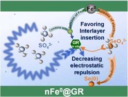 Regulating the interlayer SO42--induced rebound of SeO42- in green rust coupled with iron nanoparticles for groundwater remediation