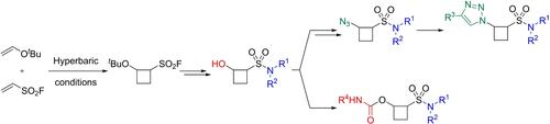 High-Pressure-Mediated Fragment Library Synthesis of 1,2-Disubsituted Cyclobutane Derivatives