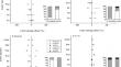 Effects of plant litter diversity on soil enzyme activity and microbial community composition in a Mongolian pine plantation