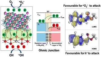 2D Mo2AlB2 transition-metal-aluminum-boride-phase-integrated TiO2 nanoparticles enable accelerated carbendazim photodegradation: impact of ohmic junctions and electric fields