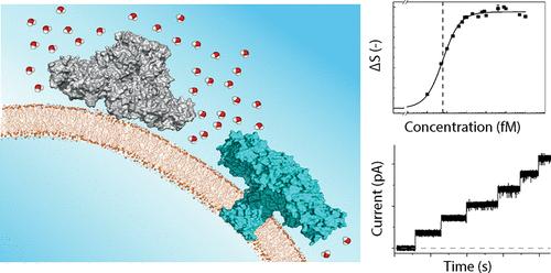 Dissecting the Membrane Association Mechanism of Aerolysin Pores at Femtomolar Concentrations Using Water as a Probe.