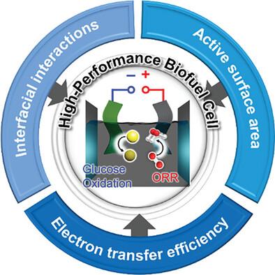 Recent Advances in Enzyme-based Biofuel Cells Using Glucose Fuel: Achieving High Power Output and Enhanced Operational Stability