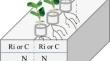 Localized and systemic abilities of arbuscular mycorrhizal fungi to control growth, antioxidant defenses, and the nutrient uptake of alfalfa under uniform and non-uniform salt stress