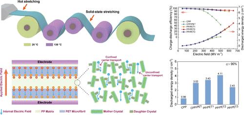 In Situ Well-Aligned Microfibrils and Mother–Daughter Crystals as Promising Blocks to Suppress Carrier Transport in Polypropylene Dielectric Films