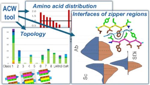 Unravelling the Complexity of Amyloid Peptide Core Interfaces