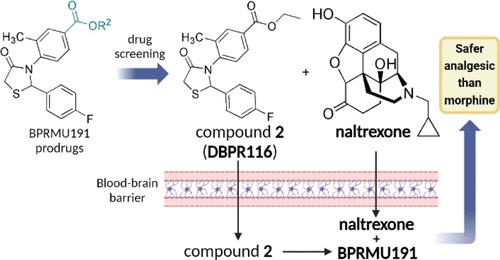 DBPR116, a Prodrug of BPRMU191, in Combination with Naltrexone as a Safer Opioid Analgesic Than Morphine via Peripheral Administration