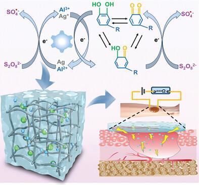 High Antimicrobial Electrotherapy and Wound Monitoring Hydrogel with Bimetal Phenolic Networks for Smart Healthcare