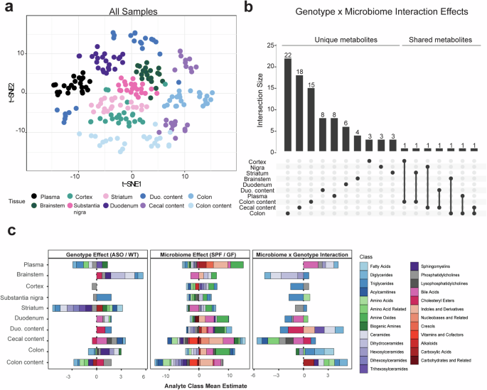 α-synuclein overexpression and the microbiome shape the gut and brain metabolome in mice