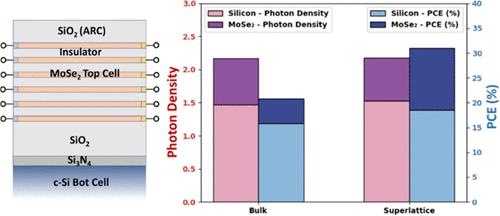 Tandem Photovoltaics from 2D Transition Metal Dichalcogenides on Silicon