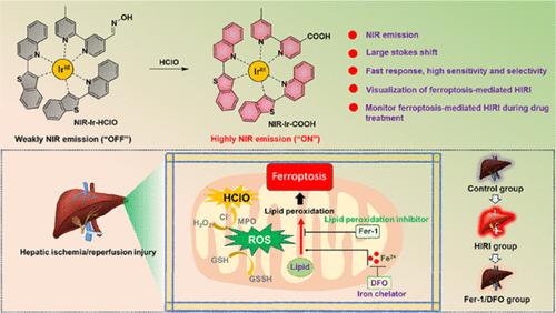 Mitochondria-Targetable Cyclometalated Iridium(III) Complex-Based Luminescence Probe for Monitoring and Assessing Treatment Response of Ferroptosis-Mediated Hepatic Ischemia-Reperfusion Injury