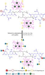 Fabrication of ion imprinted diethylenetriamine pentaacetic acid-polyethylenimine modified magnetic graphene oxide for selective adsorption of Ce(III)