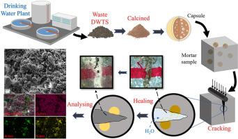 An Innovative Sludge-derived Capsule for Self-healing Cementitious Materials