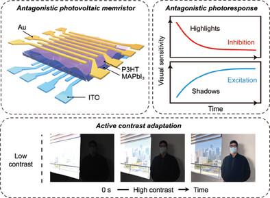 An Antagonistic Photovoltaic Memristor for Bioinspired Active Contrast Adaptation